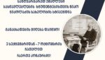 ნიკო ნიკოლაძის სახელობის სტიპენდიაზე განაცხადების მიღება დაიწყო